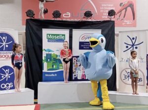 Championnat départemental de Moselle Individuel