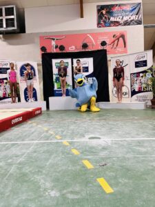 Championnat départemental de Moselle Individuel