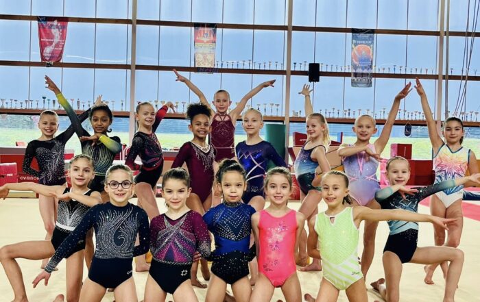 Formations Gymnastes