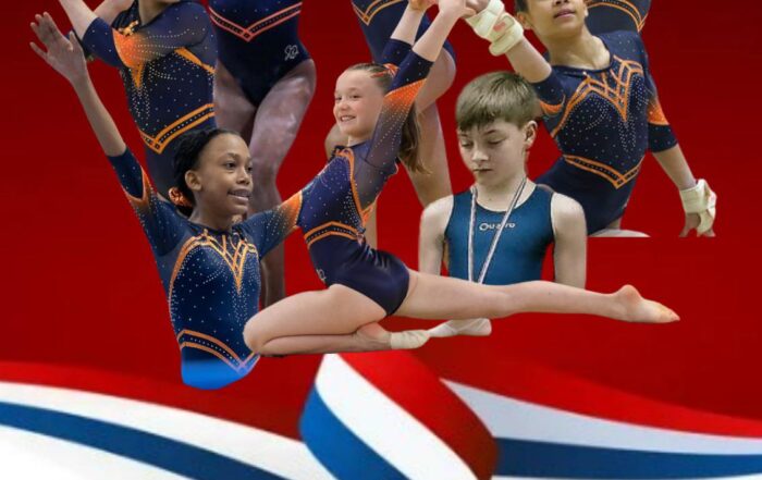 Gymnastes qualifiés pour les différents championnats de France